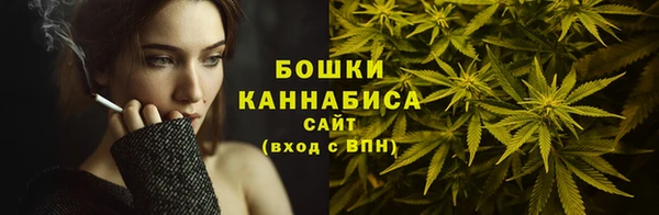 мдма Новозыбков
