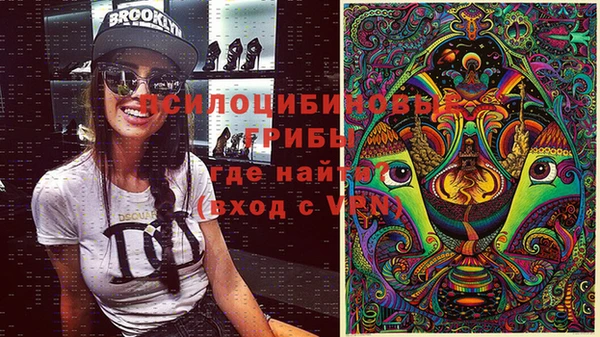 дурь Нягань