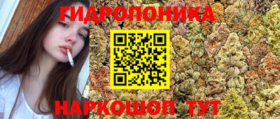 mix Абакан
