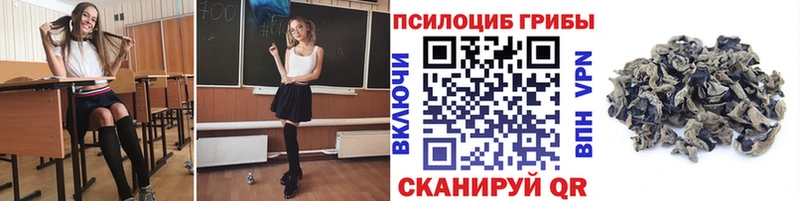 Псилоцибиновые грибы GOLDEN TEACHER  где найти   Кушва 