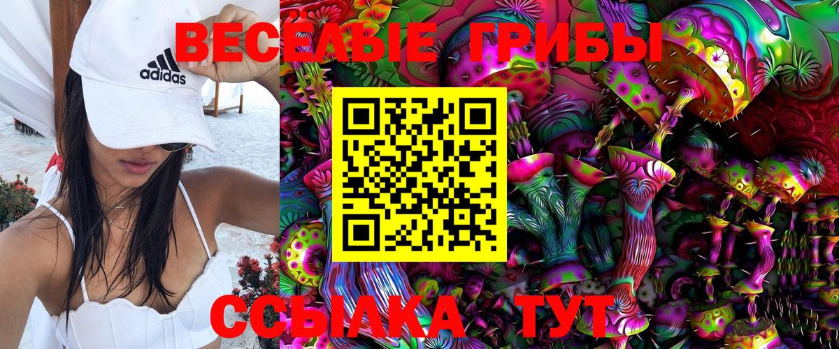 где продают наркотики  Вход с VPN  Псилоцибиновые грибы Psilocybine cubensis  Кушва  Галлюциногенные грибы Psilocybe 